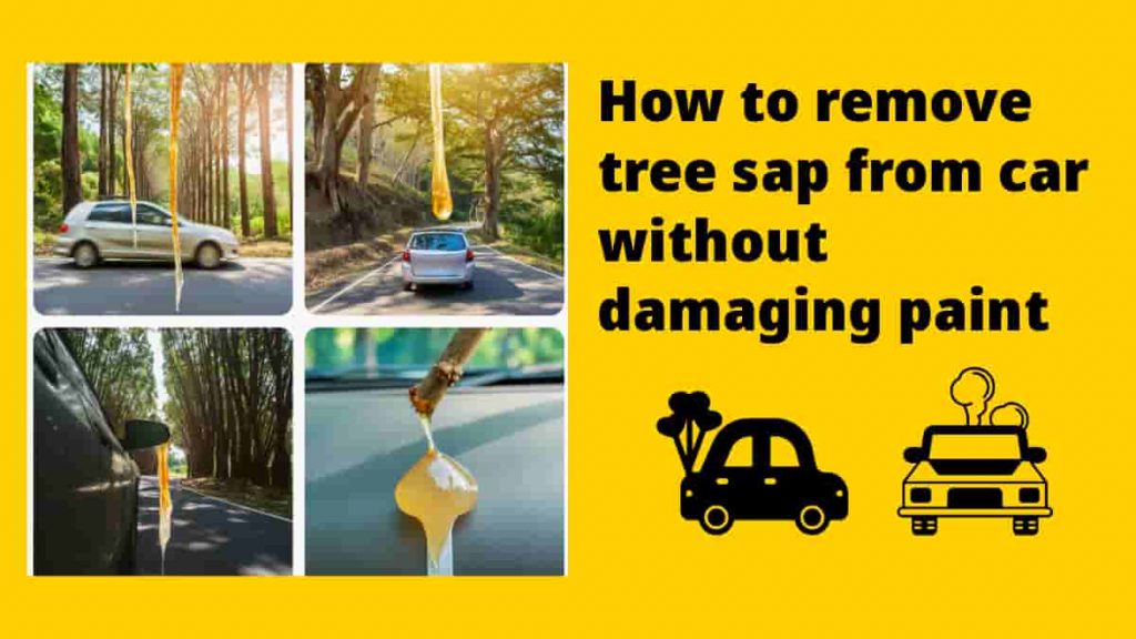 remove-tree-sap-car-damaging-paint